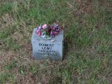 image of grave number 336477